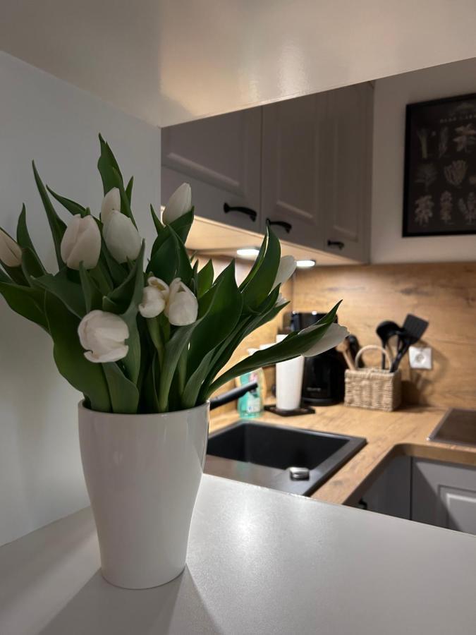 4 Wunderschoene Ferienwohnungen Im Kavaliershaus ชเวียรีน ภายนอก รูปภาพ