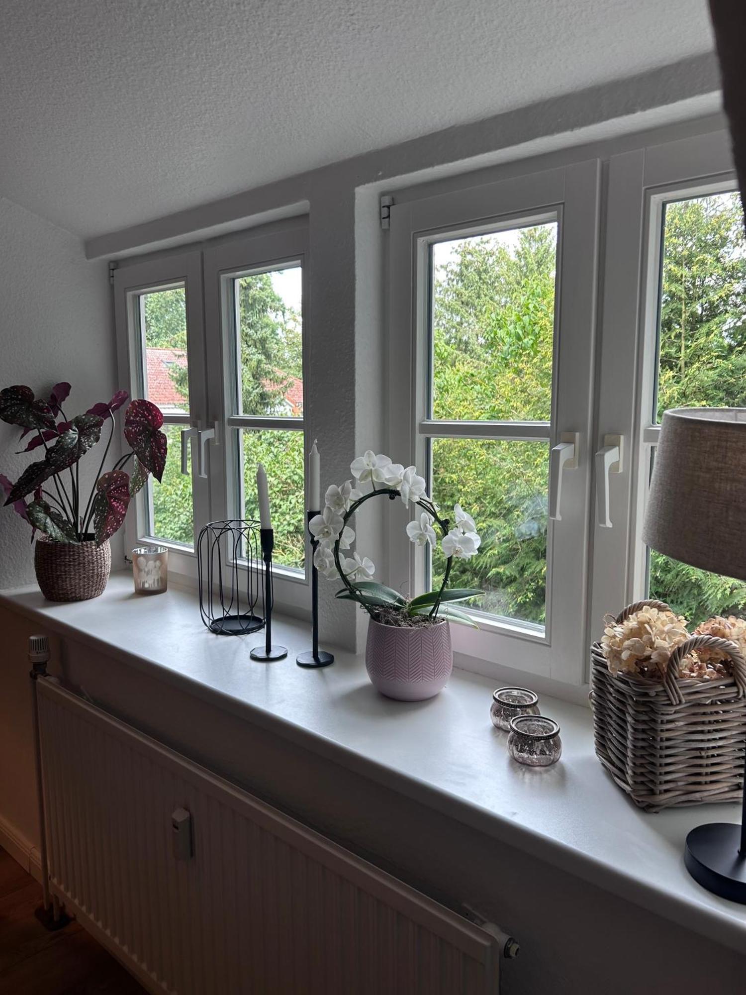 4 Wunderschoene Ferienwohnungen Im Kavaliershaus ชเวียรีน ภายนอก รูปภาพ